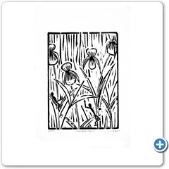 Name: William Joel
Email: aniprof@optonline.net
Location: Hyde Park, NY USA

Print Title: Garden Folk
Paper Dimension: 10 x 15
Image Dimension: 7 x 10
Block: Poplar
Pigment or Ink: Black, water-based
Paper: Vellum
Edition: 40
Comments: Beneath the green, the flowers and such, live the wee folk, who we never see.